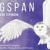 Wingspan Europe - Boîte